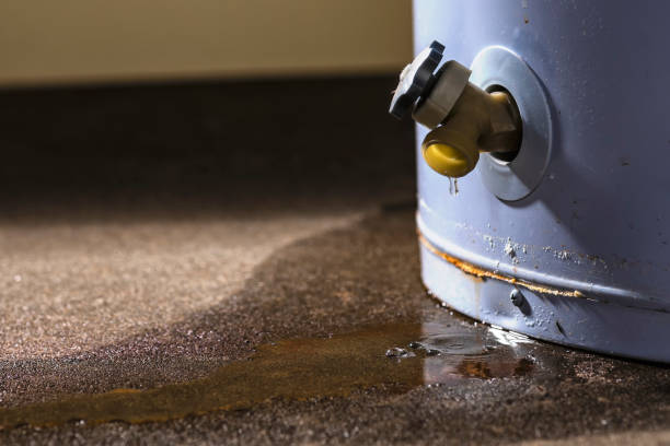 Best Water damage restoration near me  in Shady Hollow, TX