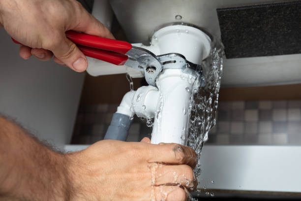 Best Water damage cleanup near me  in Shady Hollow, TX