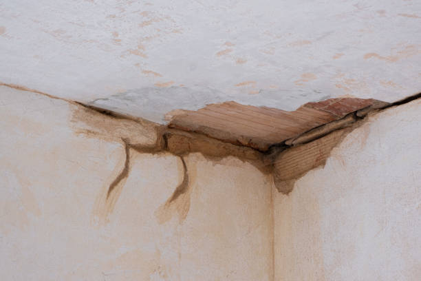 Best 24-hour water damage restoration  in Shady Hollow, TX