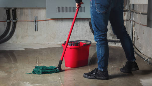 Best Basement water damage restoration  in Shady Hollow, TX