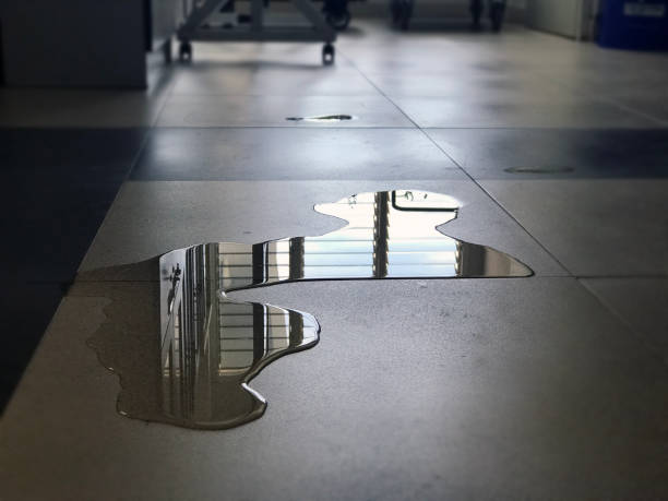 Best Water damage restoration near me  in Shady Hollow, TX