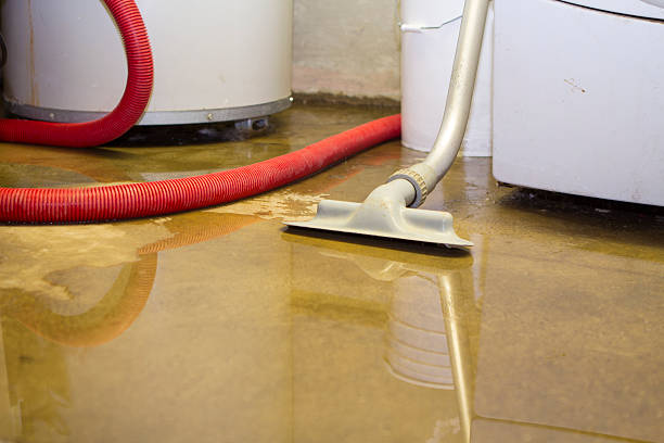 Best Residential water damage restoration  in Shady Hollow, TX